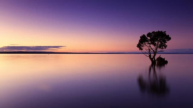 sunset, tree, water, silhouette, tree silhouette, dusk, twiligh, mirroring, mirror image, reflection, water reflection, calm, calm waters, solitude, solitary, nature, landscape, sky, horizon, nature wallpaper, zoom background, sunset, water, nature, nature, nature, nature, nature