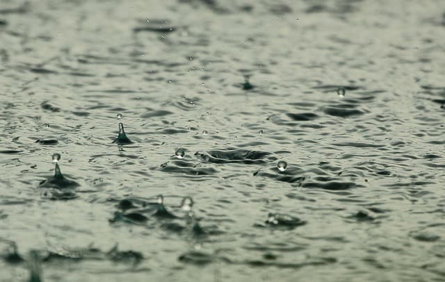 water, raindrops, raining, nature, wet, liquid, splashing, drops, rain, rainfall, water droplets, aqua