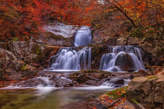 waterfall, waterfall photo, nature, landscape, water, forest, mountain, moss, rock, flow, tree, autumn, leaves, maple tree