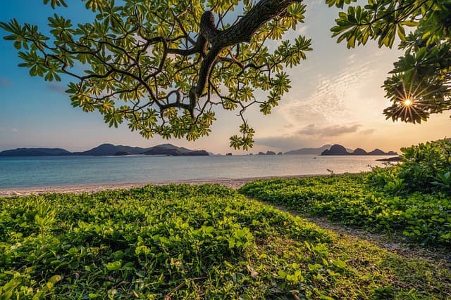 sunset, sand, beach, islands, leaf, subtropical, okinawa, nature, japan, landscape, beautiful nature, hd wallpapers, nature background, hd wallpaper, nature wallpaper