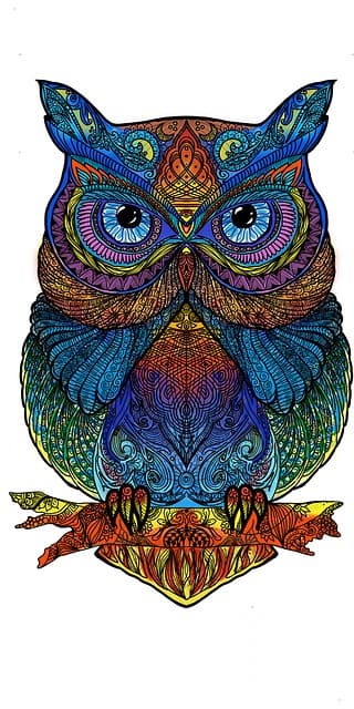 wolf, mandala pattern, mandala, vintage pattern, line art, isolated, colorful own pattern, mandala, mandala, mandala, mandala, mandala, line art