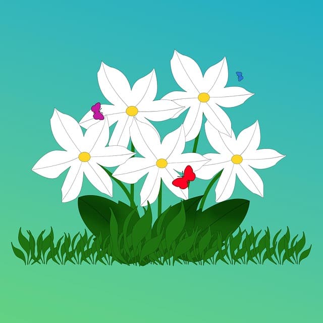 digital graphics, clip art, illustratiin, flowers, plant, drawing, flower background, white flowers, flower wallpaper, blossoms, beautiful flowers, nature, butterflies, grass, leaves