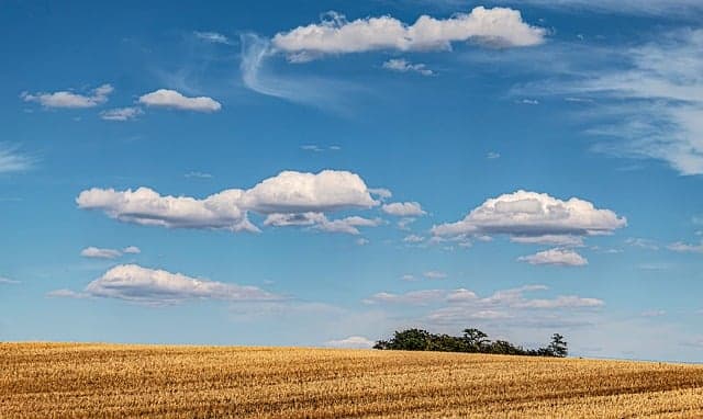 sky, free wallpaper, clouds, rural, wheat field, beautiful wallpaper, free background, summer, agriculture, nature background, full hd wallpaper, nature, horizon, landscape, sunny, nature wallpaper, daytime, windows wallpaper, laptop wallpaper, blue sky, cumulus clouds, harvest, sky background, wallpaper 4k, cool backgrounds, hd wallpaper, gold, yellow, mac wallpaper, 4k wallpaper 1920x1080, desktop backgrounds, wallpaper hd, wallpaper, beautiful nature, scenic, straw, 4k wallpaper, stubble