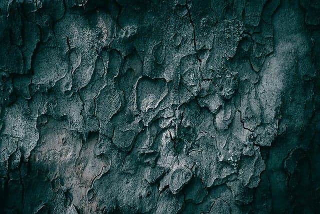 tree, hd wallpaper, laptop wallpaper, nature wallpaper, bark, texture, cool backgrounds, wallpaper 4k, forest, full hd wallpaper, free wallpaper, wallpaper hd, rough, pattern, crack, tree bark, beautiful nature, textured, dark, wood, planetree, dark background, close up, grunge, 4k wallpaper, backdrop, wallpaper, desktop backgrounds, old, windows wallpaper, aged, sycamore, abstract, nature background, trunk, nature, 4k wallpaper 1920x1080, beautiful wallpaper, free background, background, mac wallpaper, backgrounds, detail