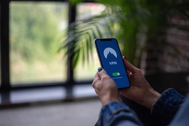 vpn, virtual private network, public wifi, streaming, technology, royalty free, stock photos, internet, connection, security, phone, mobile, nature, shop, window, plant, wall, floor, jacket, smartphone, phone case, website, hand