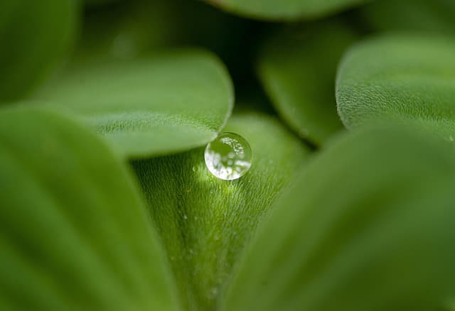 background, free background, mac wallpaper, landscape, windows wallpaper, beautiful wallpaper, photoshoot, laptop wallpaper, wallpaper hd, 4k wallpaper 1920x1080, photography, full hd wallpaper, wallpaper 4k, macro, hd wallpaper, desktop backgrounds, closeup, 4k wallpaper, free wallpaper, cool backgrounds, raindrops