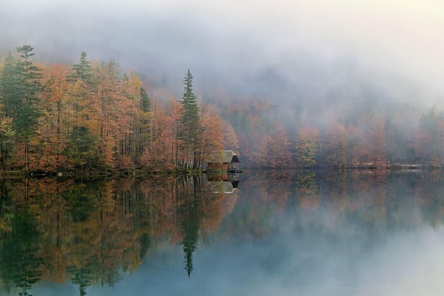 nature, landscape, fall, autumn picture, autumn landscape, autumn colors, autumn mood, autumnal, fog, lake, autumn leaves, foggy field