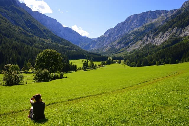 in the area of, mountains, lying, meadow, grass, pasture, trees, forest, foliage, lomb, nature, rural landscape, landscape, stage, free photo, free background