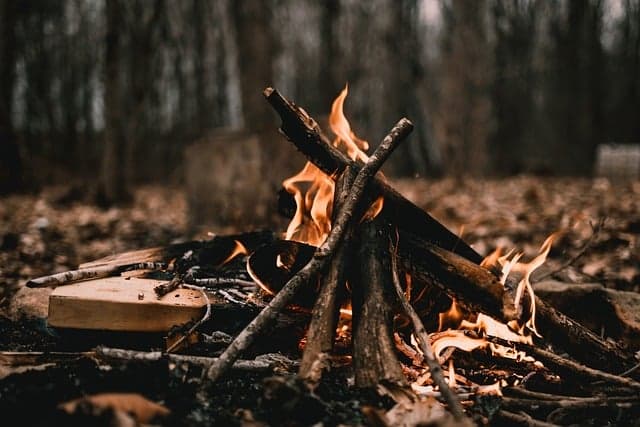 fire, flames, laptop wallpaper, wallpaper 4k, heat, aesthetic wallpaper, embers, blaze, camping, orange, fire camp, campfire, rustic, beautiful wallpaper, brown, mac wallpaper, moody, nature, free background, desktop backgrounds, dark, 4k wallpaper, dark aesthetic, 4k wallpaper 1920x1080, beautiful nature, aesthetic, woods, hd wallpaper, full hd wallpaper, branches, forest, nature wallpaper, hiking, nature background, wallpaper hd, free wallpaper, windows wallpaper, cool backgrounds, wallpaper