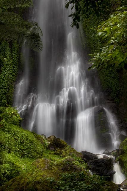 waterfall, water, tree, moss, nature, scenery, natural