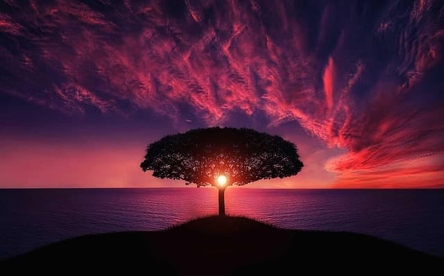 new year background, tree, sunset, clouds, sky, silhouette, hill, sea, ocean, tree silhouette, sun, dusk, twilight, afterglow, seascape, nature, landscape, island, sundown, zoom background