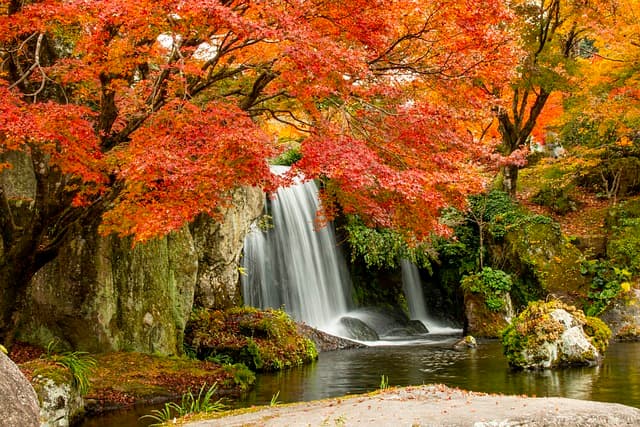 waterfall, cascade, river, creek, trees, leaves, foliage, rocks, water, nature, course, forest, mountain