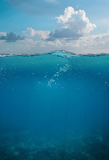 underwater, sea, wave, sky, seabed, diving, nature, swim, animal, underwater world, deep, underwater, underwater, underwater, underwater, underwater, sea, sea