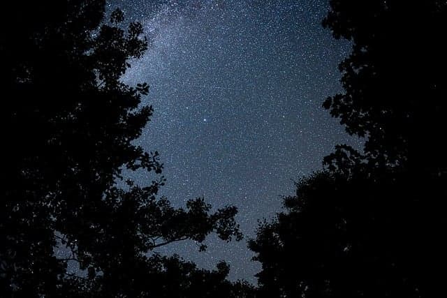 starry sky, stars, night sky, nature, lonliness, galaxy, universe, cosmos, space, astronomy, trees, night, milky way, landscape, camping, dark, outdoors, light, expanse
