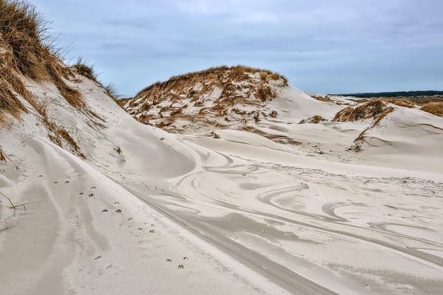 sand dunes, dune landscape, sand, formations, north sea, amrum, landscape, coastal protection, natural reserve, sand dunes, sand, sand, sand, sand, sand, landscape