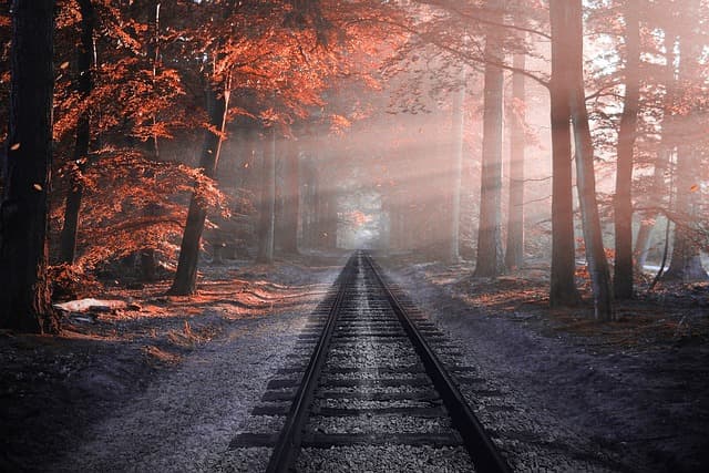 railway, forest, trees, rails, train tracks, autumn, colors, railroad, haze, nature, mist, sunrays, nature wallpaper, zoom background
