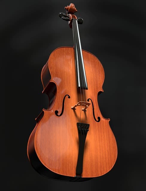 cello, violoncello, strings, string instrument, wood, instrument, classical music, musical instrument, classic, acoustic, volume, music, 3d, render, cello, cello, cello, music, music, music, music, music